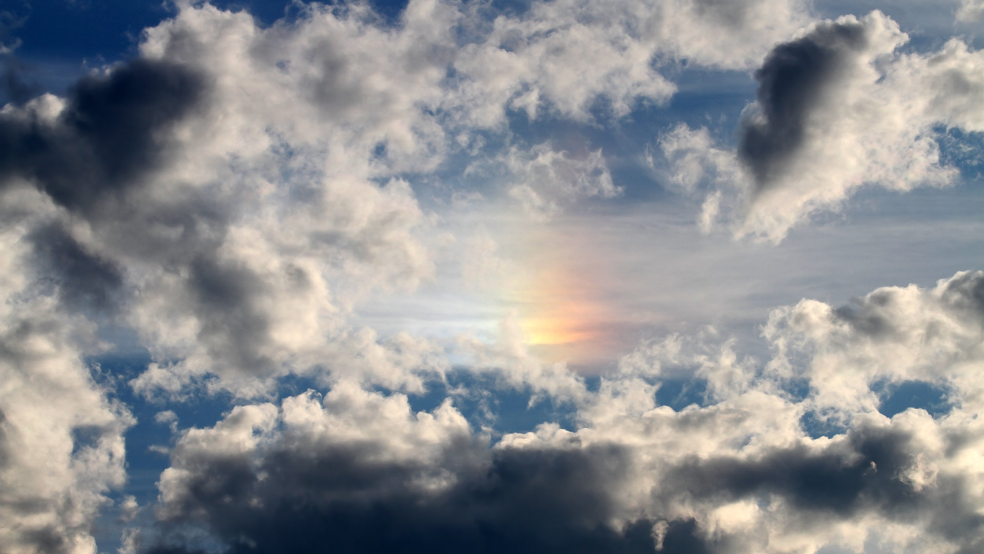 马龙维也纳之夜，统治全场助奥地利队力克波兰队