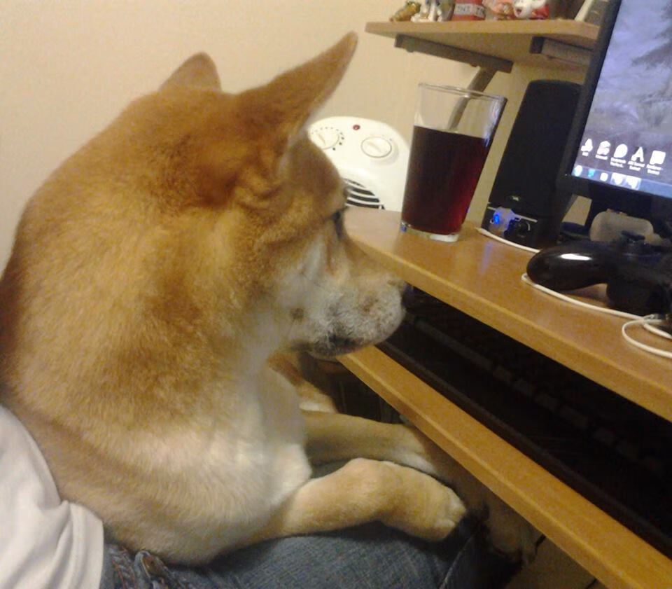 三分钟险胜与九十分钟统治，门迪如何用一己之力改写哥伦比亚与韩国的宿命剧本