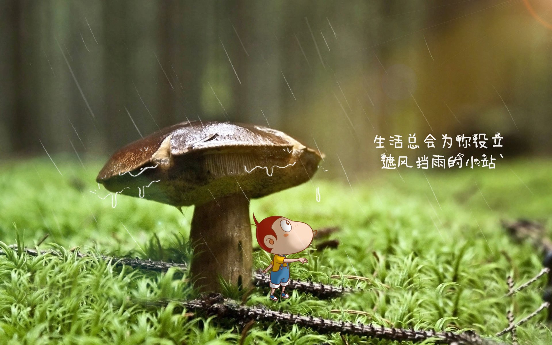 库里与大场面,当确定性艺术遇上魔术爆冷的不确定性