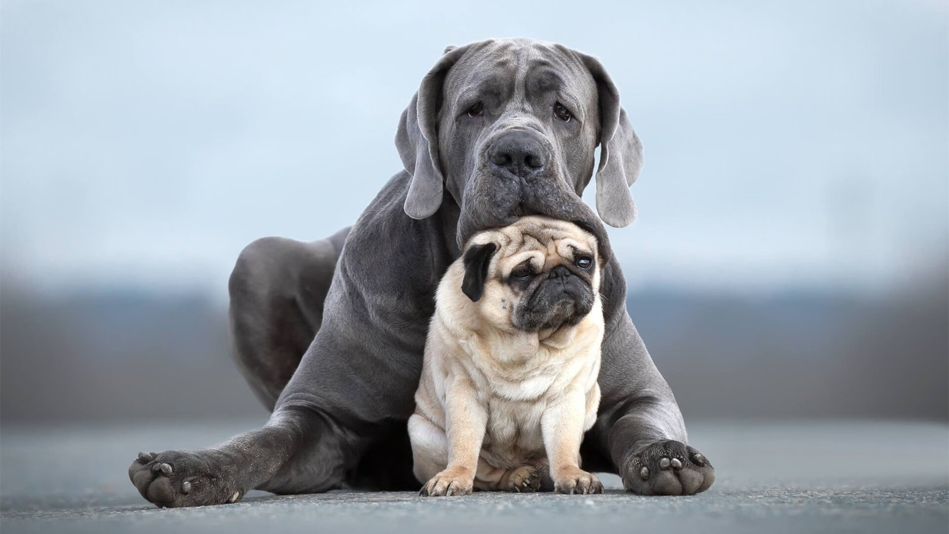 金色激流冲垮爵士防线！莫兰特一己之力改写比赛，荣膺关键先生