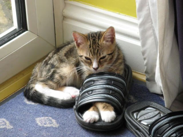 从隐形枷锁到关键先生，杰伦·格林的三分钟闪电战改写纽约命运