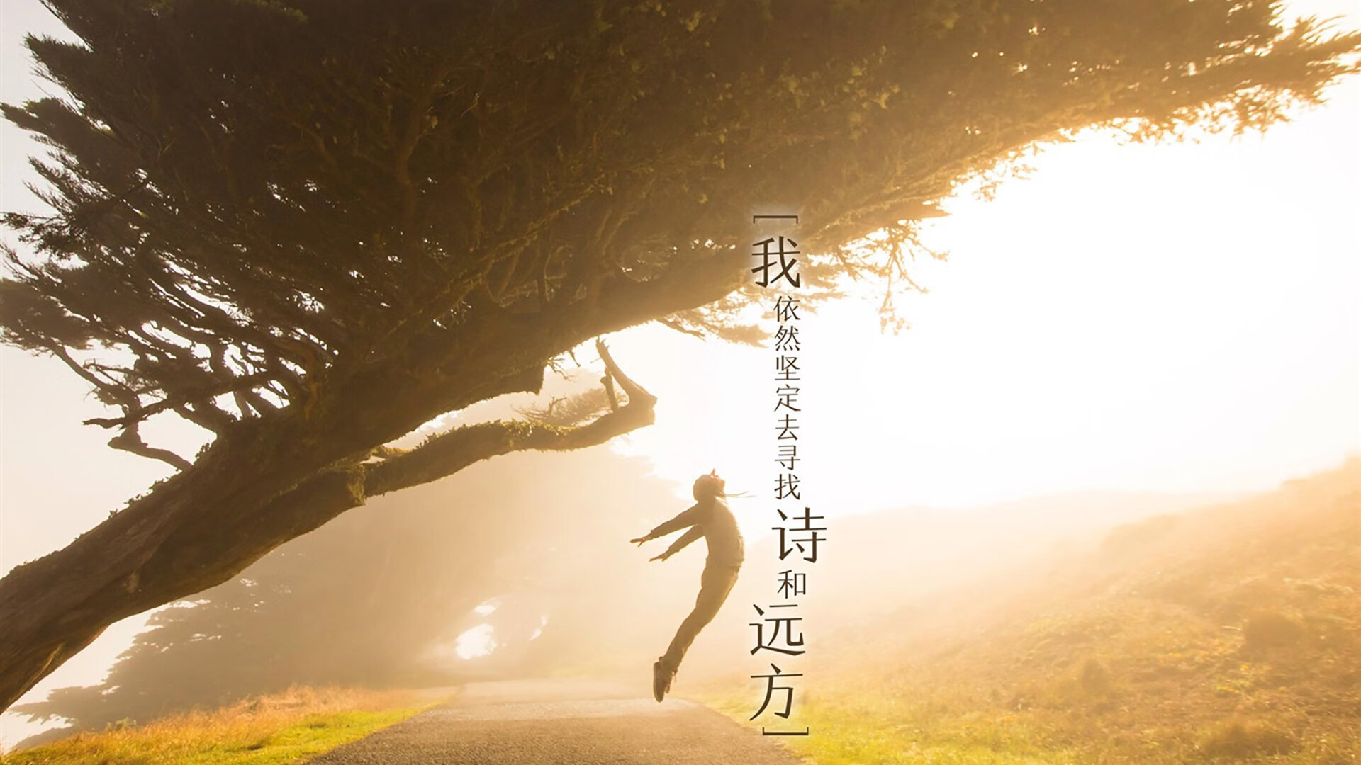 狂飙41分!西亚卡姆化身极寒风暴,新疆队主场冻结太阳