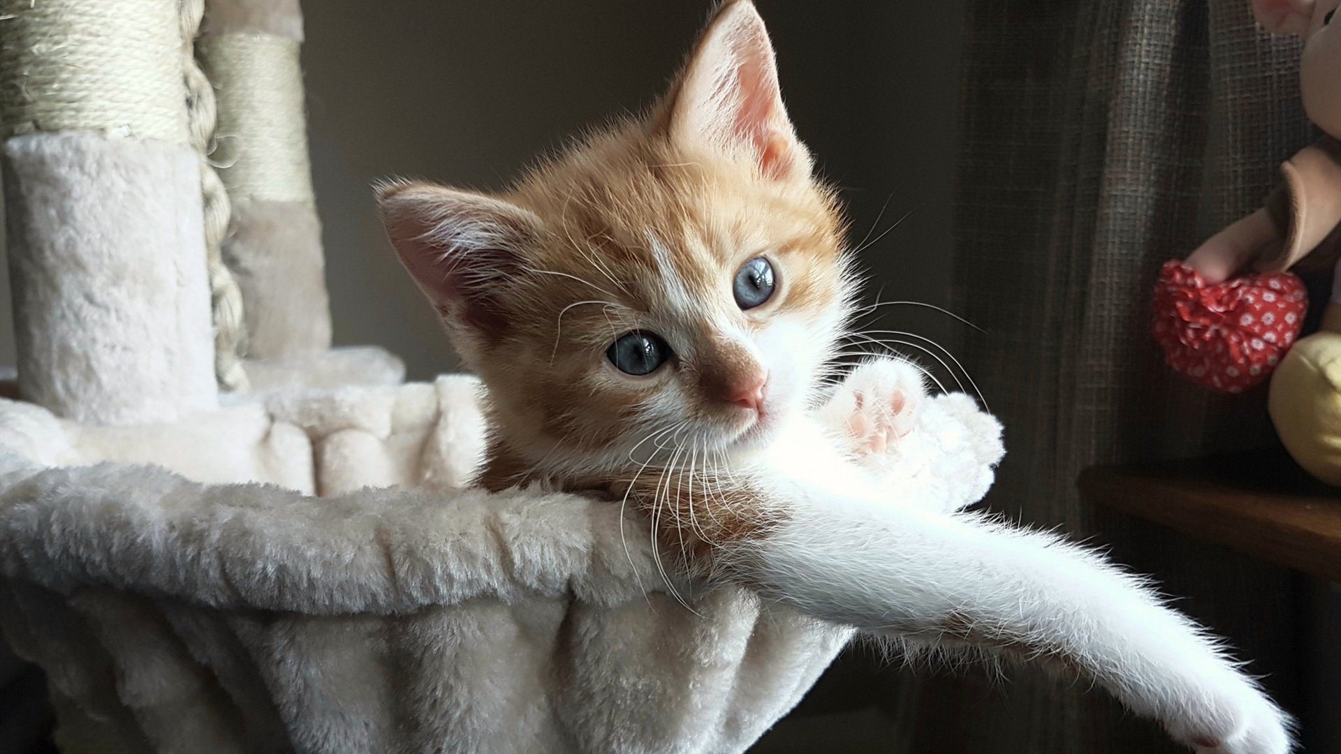 引擎全开与窒息攻防,当F1超车哲学降临篮球场