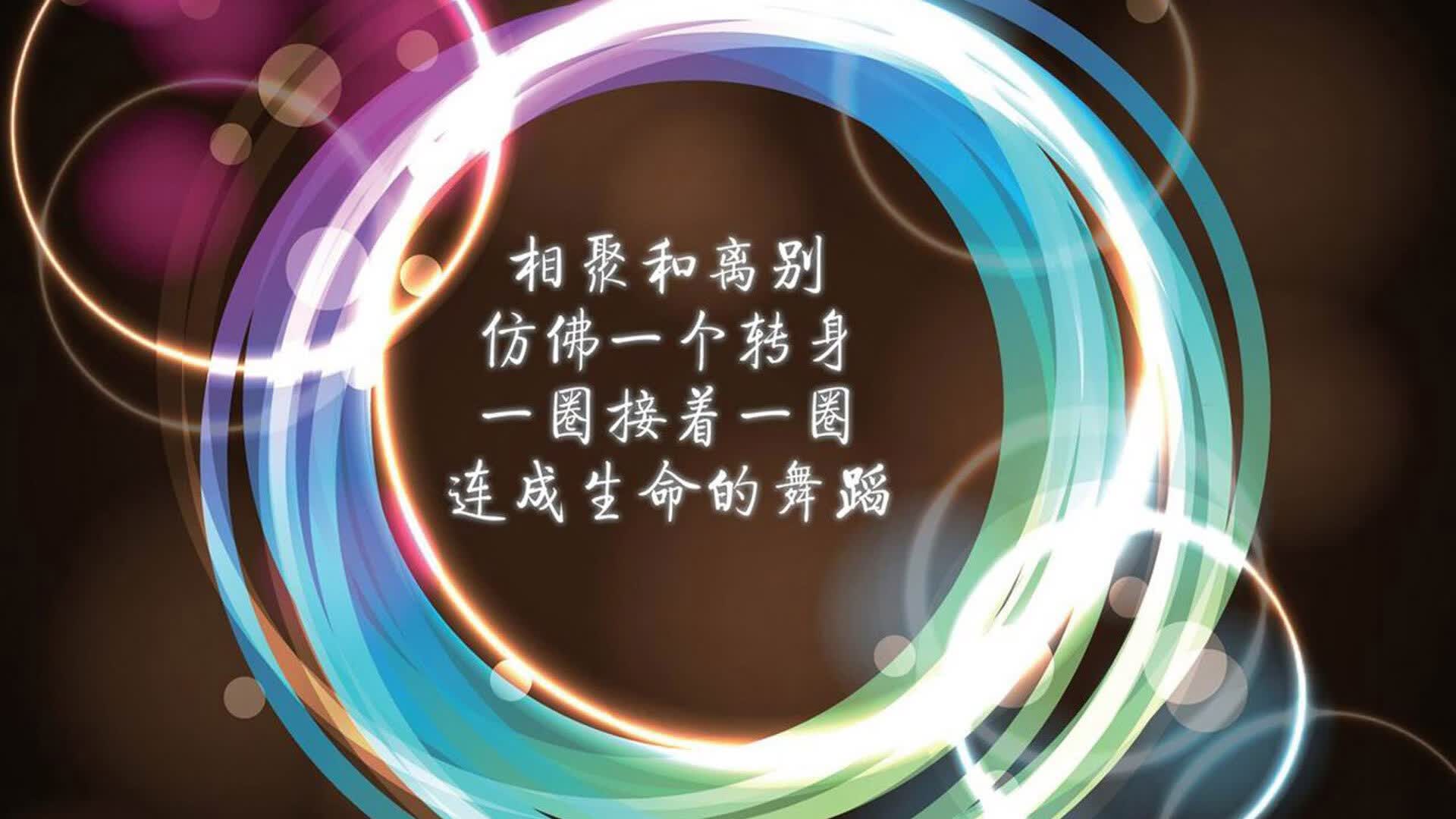喀麦隆雄狮怒吼,德容运筹帷幄,B组生死战碾压波兰书写2026世界杯传奇