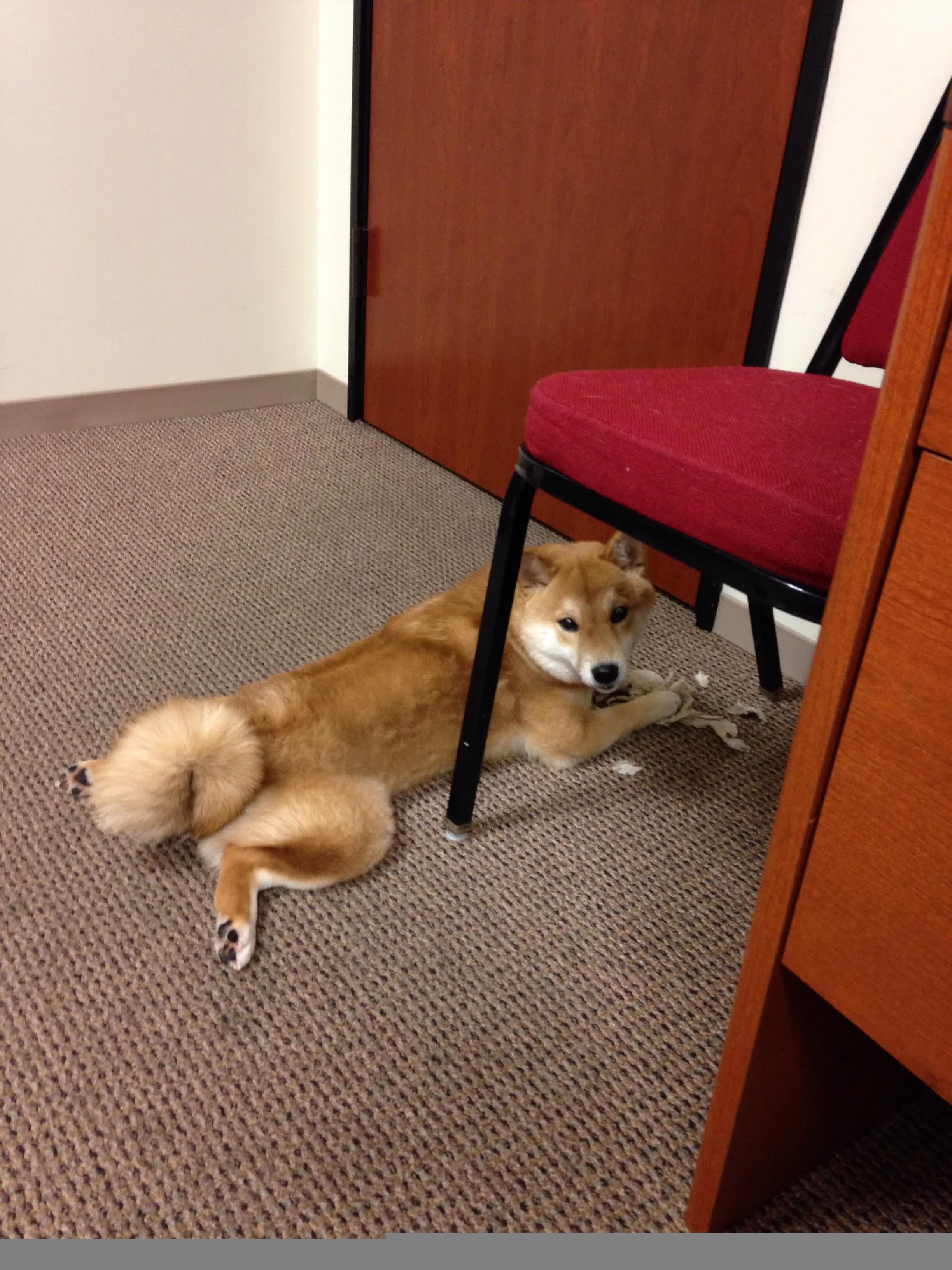 沙漠中的极光,当北欧童话照进美利坚之梦,内马尔在2026世界杯G组写下唯一神迹