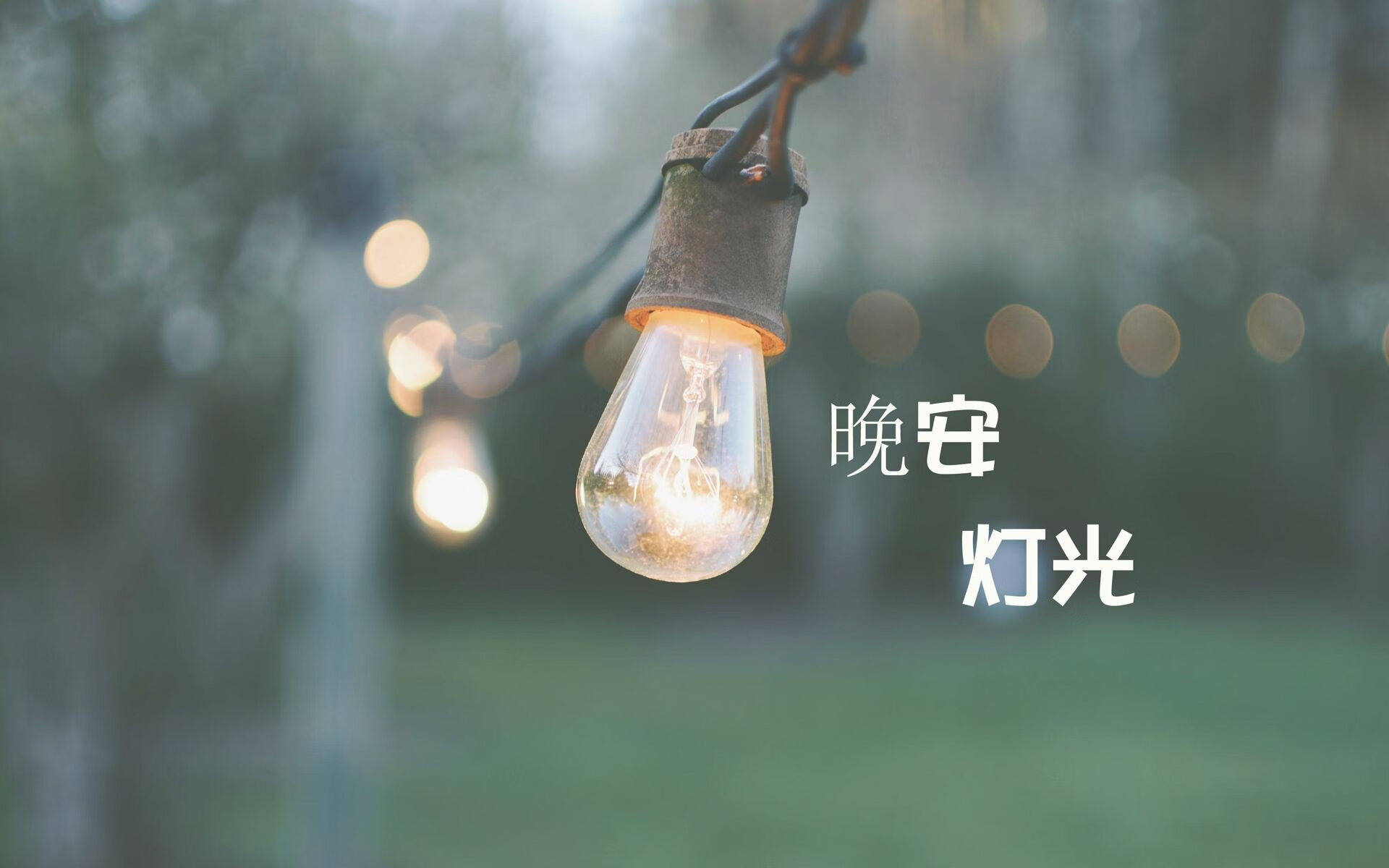 绝地重生,2026世界杯D组关键战,厄瓜多尔逆袭罗马尼亚,萨内用灵魂带队取胜