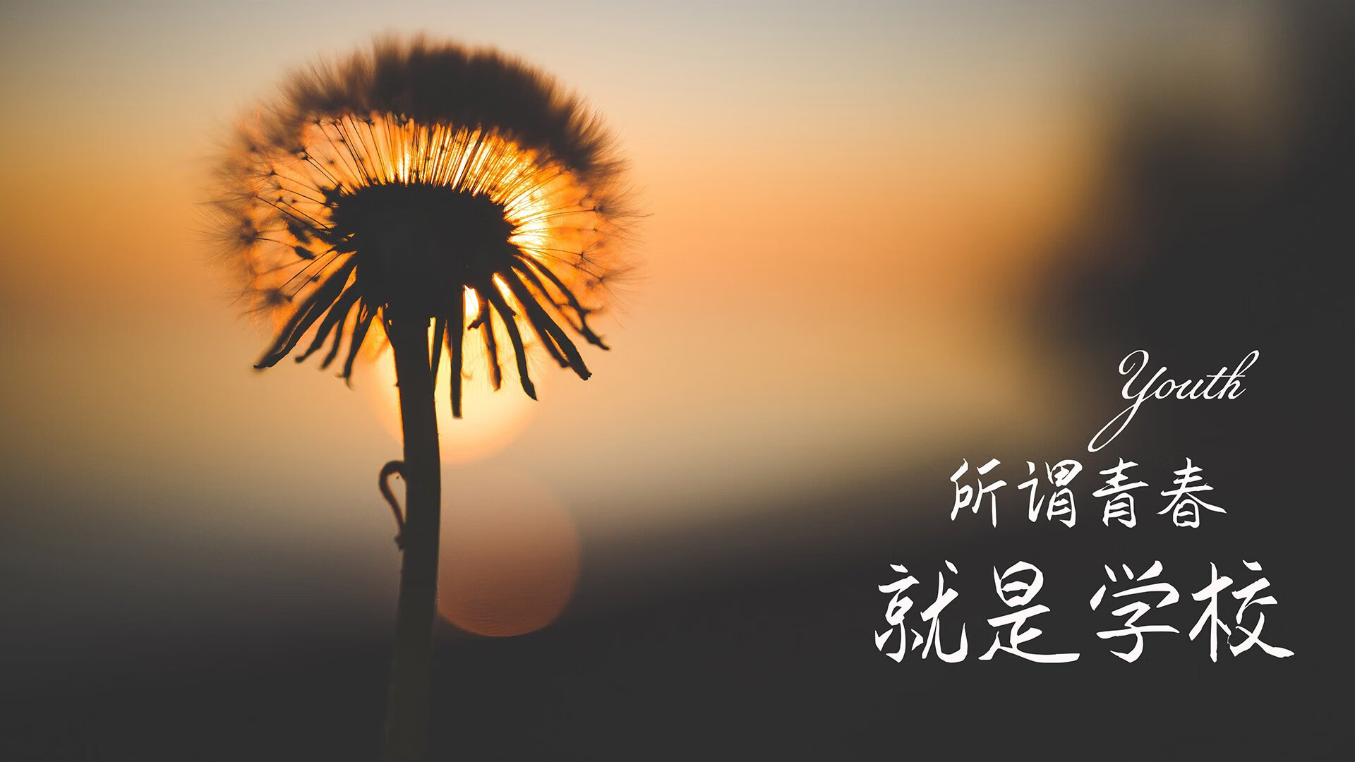 节奏掌控者,2026世界杯D组巅峰对决,荷兰智取葡萄牙,德布劳内铸就唯一经典