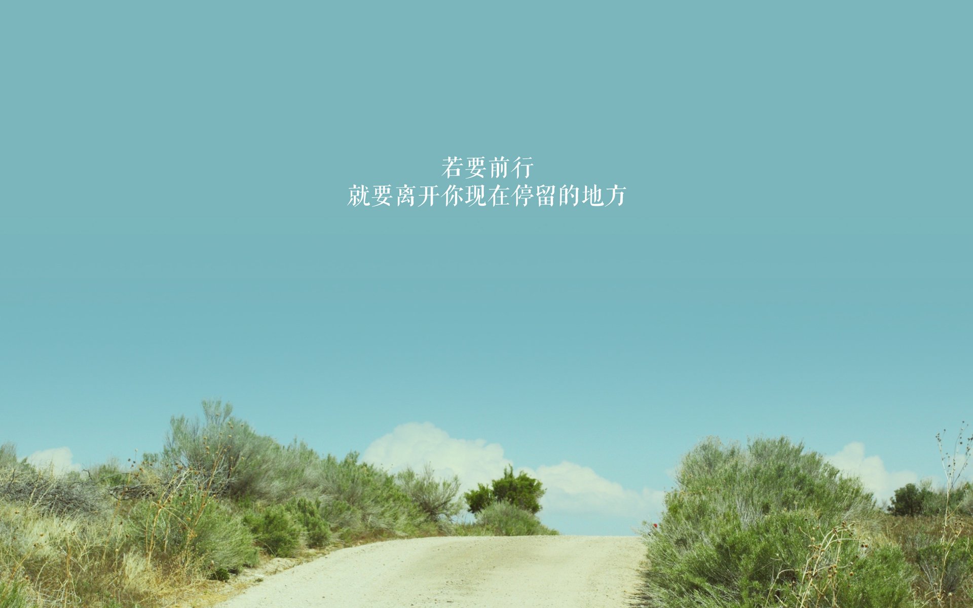 沙漠与恒河的征服者,范戴克领衔,摩洛哥在2026世界杯A组以控球艺术驯服印度